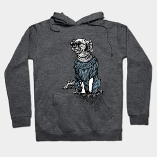 Dog Sweater Collection Teal Hoodie
